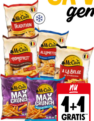 McCain friteuse frieten