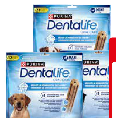Dentalife