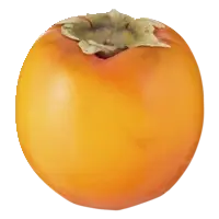 AH Kaki fruit