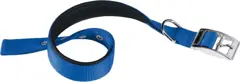 Ferplast Hondenhalsband Daytona 45 X 2,5 Cm Staal/nylon Blauw