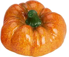 Pompoen 15 cm