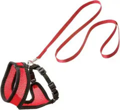 Flamingo kattentuigje Harms set - rood/zwart - 120cm x 15mm