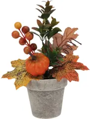 Herfstplant in pot 21 cm