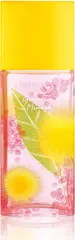 green tea mimosa edt 100 ml spray