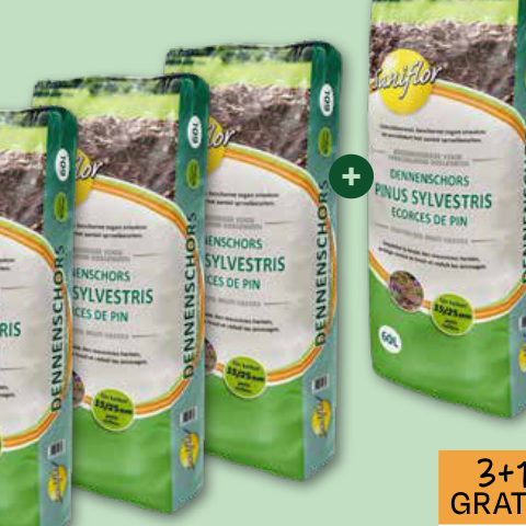 SANIFLOR BOOMSCHORS