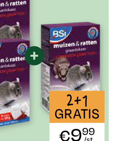 BSI MUIZEN & RATTEN