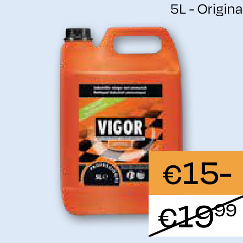 VIGOR ALLESREINIGER